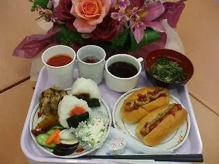 Toyoko Inn Jr Yokohama Sen Sagamihara Ekimae 3*,
